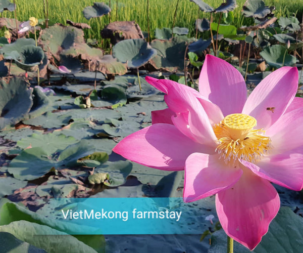 62322010_2263892810357602_3235418973113679872_o